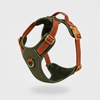 TrueStride™ Harness