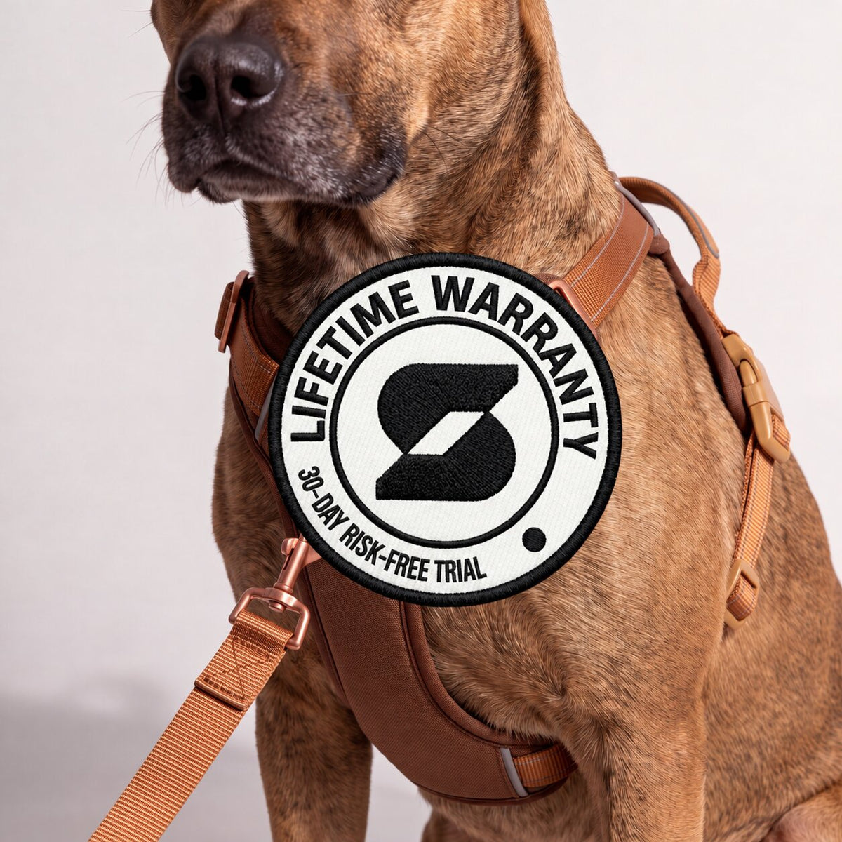 TrueStride™ No-Pull Harness